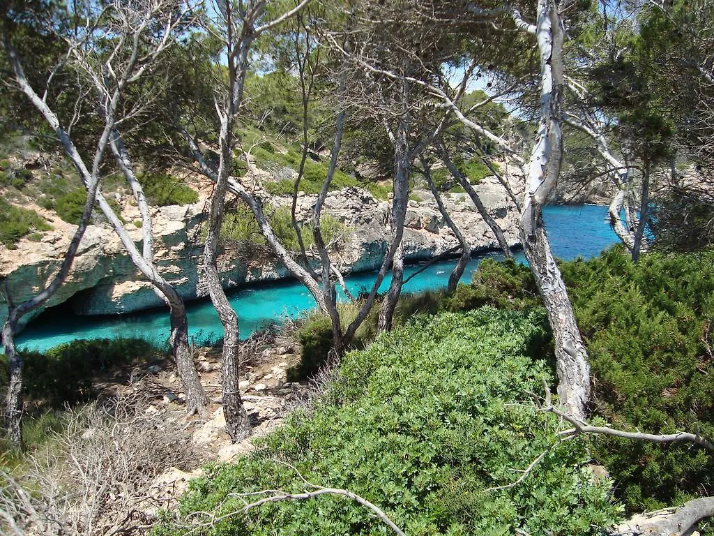 Marina D Or Apartamento Cala D´Or